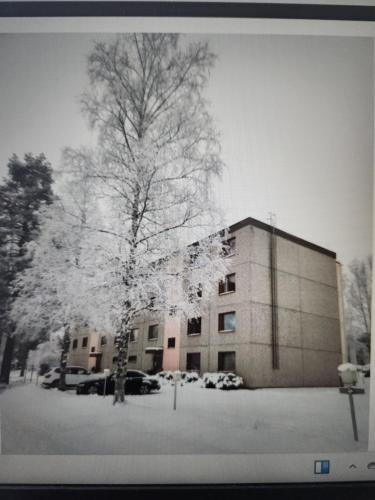 Tahkon paras in Nilsiä Tahkon paras in Nilsiä