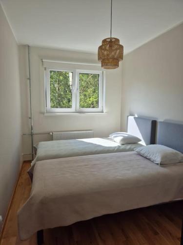 Yellow cozy apartment