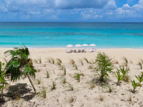 strand, Sea Salt Bahamas on Great Guana Cay in Great Guana Cay strand, Sea Salt Bahamas on Great Guana Cay in Great Guana Cay