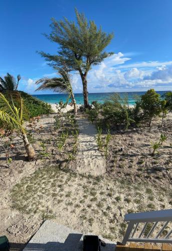 Nearby attraction, Sea Salt Bahamas on Great Guana Cay in Great Guana Cay Nearby attraction, Sea Salt Bahamas on Great Guana Cay in Great Guana Cay