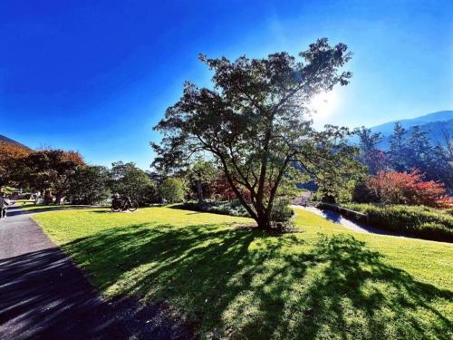 Garden, Green Gables Motel in Warburton in Yarra Valley Garden, Green Gables Motel in Warburton in Yarra Valley