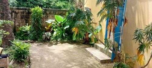 CAP NATURE Campement in Cap Skirring CAP NATURE Campement in Cap Skirring