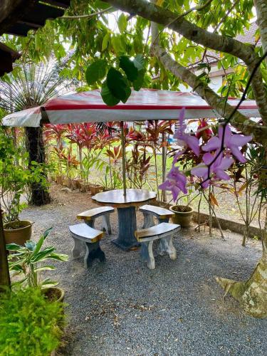 Nurjannah Roomstay Arau in Kampung Keriang Dan Nurjannah Roomstay Arau in Kampung Keriang Dan