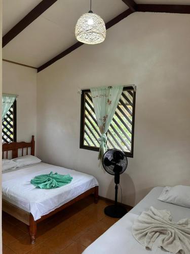 Miss Miriam BeachFront Cabins in Tortuguero Miss Miriam BeachFront Cabins in Tortuguero