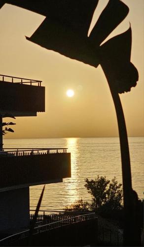 Wave in Chatt Mariem Wave in Chatt Mariem