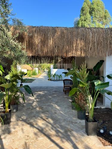 Vista exterior, Alicra Hotel Çıralı (Alicra Hotel Cıralı) in Kemer Vista exterior, Alicra Hotel Çıralı (Alicra Hotel Cıralı) in Kemer