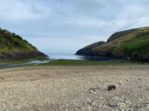 Banc Cottage in Moylgrove Banc Cottage in Moylgrove