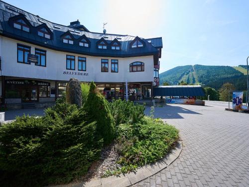 Apartment Harrachov 613-2 by Interhome in Harrachov Apartment Harrachov 613-2 by Interhome in Harrachov