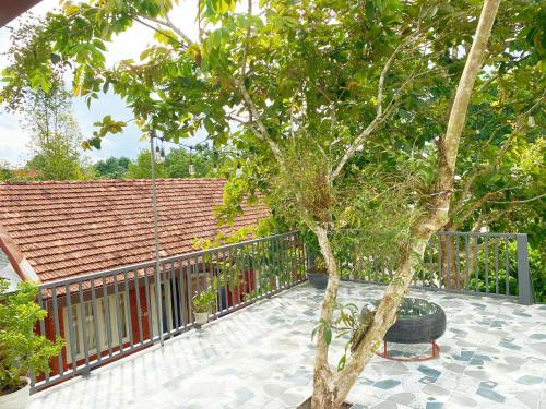 Balcony/terrace, Cat Tien Backpackers Hostel in Nam Cat Tien Balcony/terrace, Cat Tien Backpackers Hostel in Nam Cat Tien