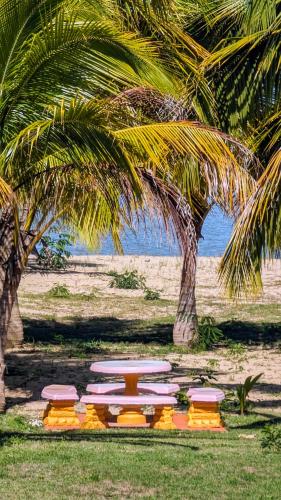 Yukayeke Playa Resort in أناسكو Yukayeke Playa Resort in أناسكو