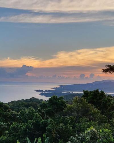 MisBHaven Resort and Spa in Port Antonio MisBHaven Resort and Spa in Port Antonio