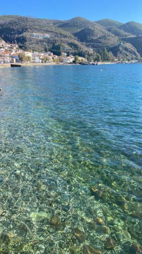 周邊環境, Κοράλι, παραλία Λίμνης (Κοραλι, παραλια Λιμνης) in 利姆尼(尤比亞) 周邊環境, Κοράλι, παραλία Λίμνης (Κοραλι, παραλια Λιμνης) in 利姆尼(尤比亞)