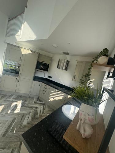 Konyha, The Swim Studio Apartment in Athy Konyha, The Swim Studio Apartment in Athy