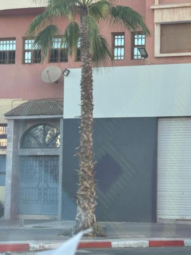 숙소 외관, unique studio in Agadir in 드체이라 엘 지하디아 숙소 외관, unique studio in Agadir in 드체이라 엘 지하디아