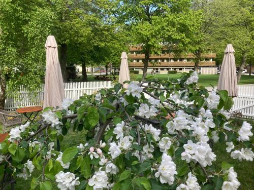 Sanden pensjonat in Laerdal Sanden pensjonat in Laerdal