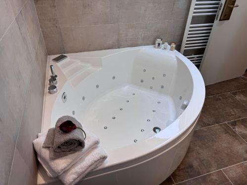 Baño, Brit Hotel de Grignan Vichy in Vichy Baño, Brit Hotel de Grignan Vichy in Vichy