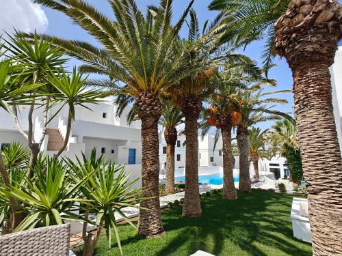 View, Hotel Sagterra in Naxos Island View, Hotel Sagterra in Naxos Island