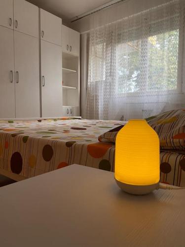 Spacious family-friendly home in Usje Spacious family-friendly home in Usje
