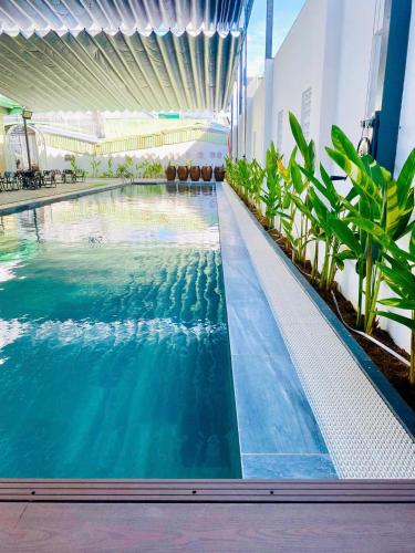 Swimming pool, Apple Hotel in An Binh Swimming pool, Apple Hotel in An Binh