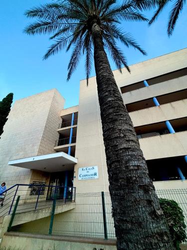 ทัศนียภาพภายนอกโรงแรม, Cabo Roig Calas de Campoamor Pádel y piscina con vistas al mar (Cabo Roig Calas de Campoamor Padel y piscina con vistas al mar) in เทอร์เรเวียยา ทัศนียภาพภายนอกโรงแรม, Cabo Roig Calas de Campoamor Pádel y piscina con vistas al mar (Cabo Roig Calas de Campoamor Padel y piscina con vistas al mar) in เทอร์เรเวียยา