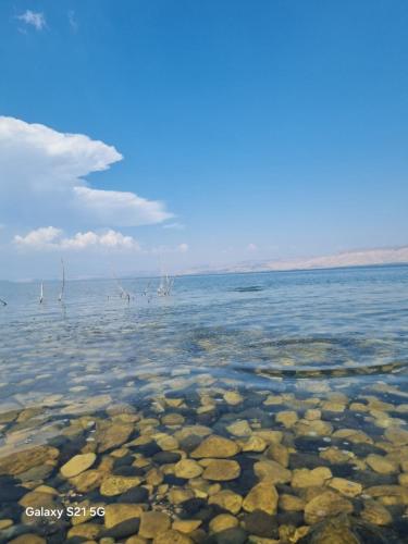 אחוזת הצבי in Menahamiya אחוזת הצבי in Menahamiya