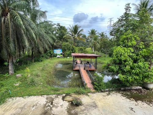 เรือนรักเรือนไทย in Chalung เรือนรักเรือนไทย in Chalung