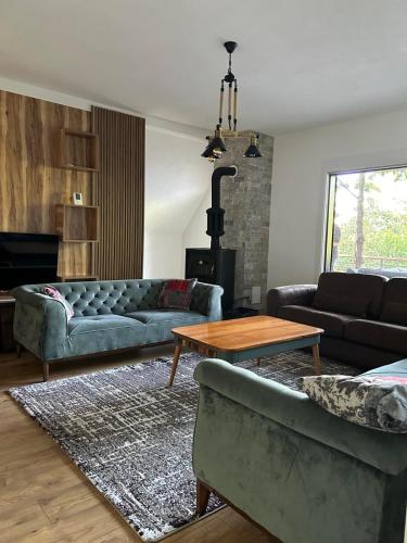 Villa Mali Stanishor in Кметёвце Villa Mali Stanishor in Кметёвце
