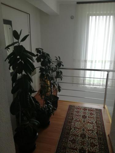 Előcsarnok, Apartman Halida in Visoko Előcsarnok, Apartman Halida in Visoko