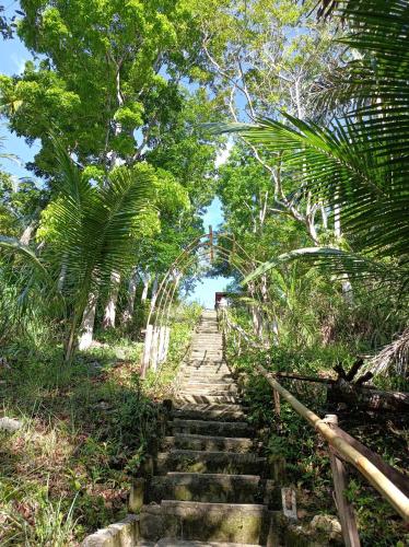Nuts Huts in Loboc Nuts Huts in Loboc