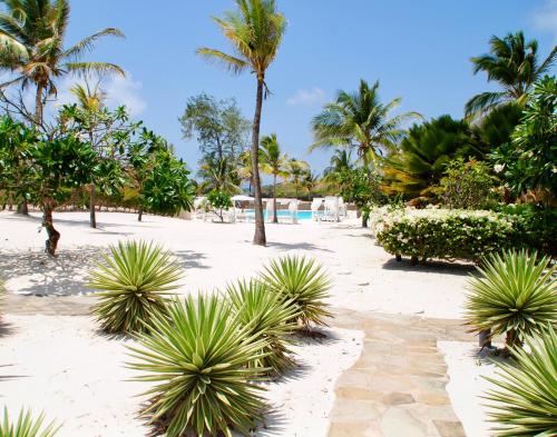 Strand, VioLet House Watamu in Watamu Strand, VioLet House Watamu in Watamu