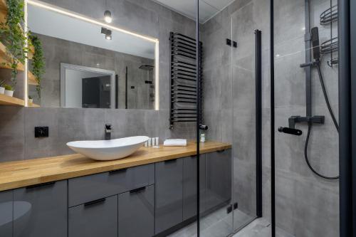 Banheiro, Apartament Blisko Parku Śląskiego w Katowicach z Parkingiem by Noclegi Renters (Apartament Blisko Parku Slaskiego w Katowicach z Parkingiem by Noclegi Renters) in Welnowiec Banheiro, Apartament Blisko Parku Śląskiego w Katowicach z Parkingiem by Noclegi Renters (Apartament Blisko Parku Slaskiego w Katowicach z Parkingiem by Noclegi Renters) in Welnowiec