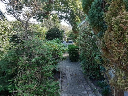 Garden, Tairona in Bergen Garden, Tairona in Bergen
