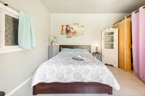 Pool Room - Entire Guest Suite - Private Entrance in Balboa Park Pool Room - Entire Guest Suite - Private Entrance in Balboa Park
