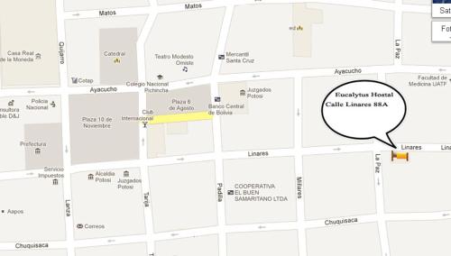 This photo about Eucalyptus shared on HyHotel.com