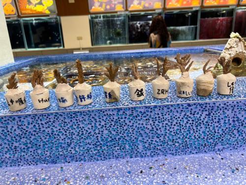 Mian Bao Homestay in Penghu Mian Bao Homestay in Penghu