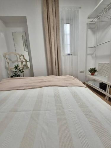 Hostfy Centro, San Román