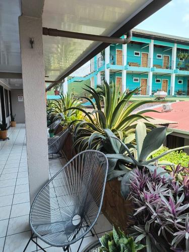 حديقة, Hotel La Vid La Fortuna in لا فورتونا حديقة, Hotel La Vid La Fortuna in لا فورتونا