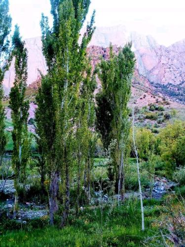 Gite Taghia Travel in Tabant Azilal Gite Taghia Travel in Tabant Azilal
