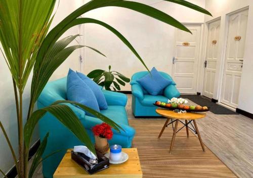 Létesítmények, Surf Trip Maldives in Északi-Male-korallzátony Létesítmények, Surf Trip Maldives in Északi-Male-korallzátony