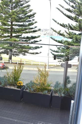 Bondi 38 Serviced Apartments - image 3