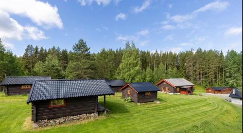 Skogcamping in Ельверум Skogcamping in Ельверум