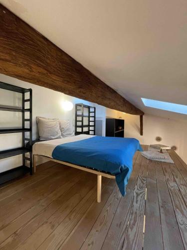 Appart atypique en hyper centre