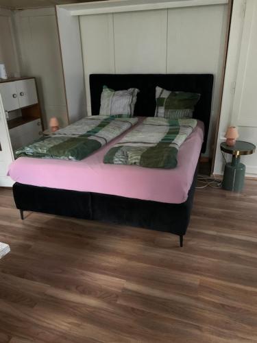 Vista a los Alpes in Linthal Vista a los Alpes in Linthal