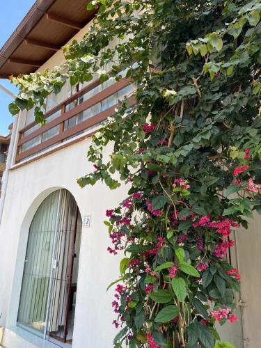 Apartamento Praia Brava Florianópolis condomínio (Apartamento Praia Brava Florianopolis condominio) in 普拉亞布拉瓦 Apartamento Praia Brava Florianópolis condomínio (Apartamento Praia Brava Florianopolis condominio) in 普拉亞布拉瓦