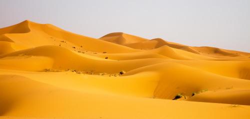 Merzouga Dome in Merzouga Merzouga Dome in Merzouga
