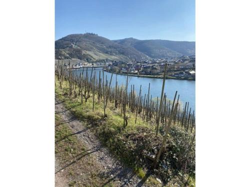 A környék, Apartment Philipps 2 in Graach A környék, Apartment Philipps 2 in Graach