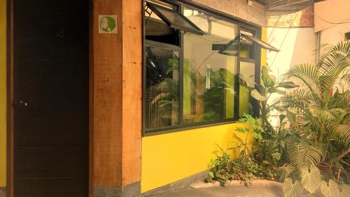 ทัศนียภาพ, Hospedaje Neydita in อิกิโตส ทัศนียภาพ, Hospedaje Neydita in อิกิโตส