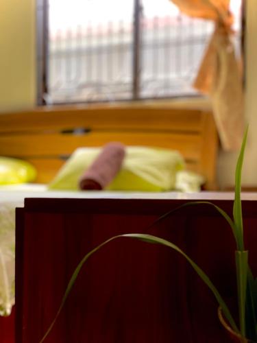 Kilimanjaro home stay