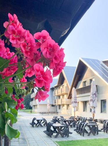ห้องอาหาร, Hotel Horník (Hotel Hornik) in วลาโชวิช ห้องอาหาร, Hotel Horník (Hotel Hornik) in วลาโชวิช