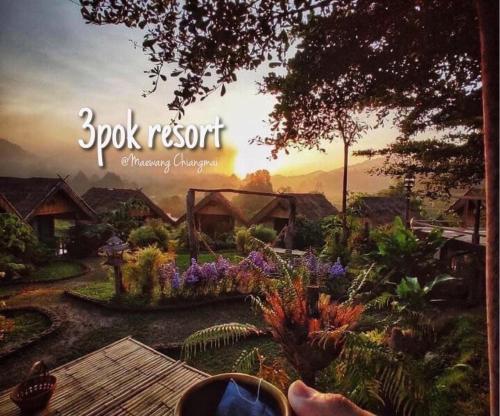 3 Pok Maewang jinxiang Gold elephant park in Doi Inthanon 3 Pok Maewang jinxiang Gold elephant park in Doi Inthanon